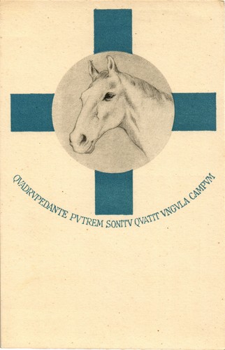 Croce azzurra cavallo - azzurra,