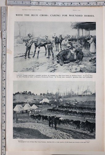 1915 india ww1 - 1915, blu