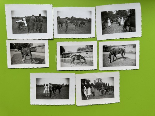 Foto sorelle croce - x,